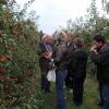 F.F. Limburg fruitdag: genieten van de heerlijke appels.
