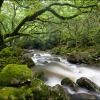 Devon: Dartmoor National Park.